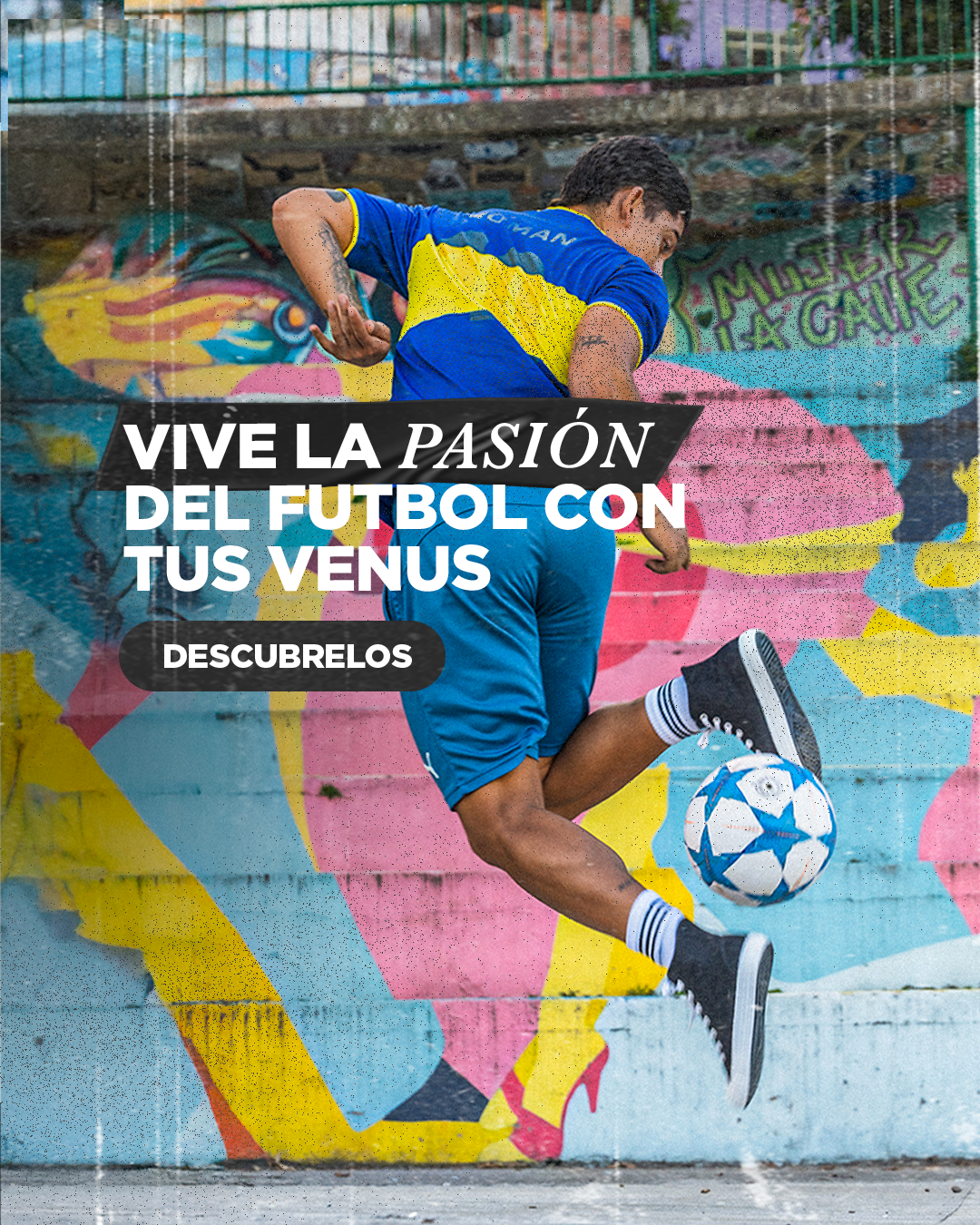 Tenis Lona