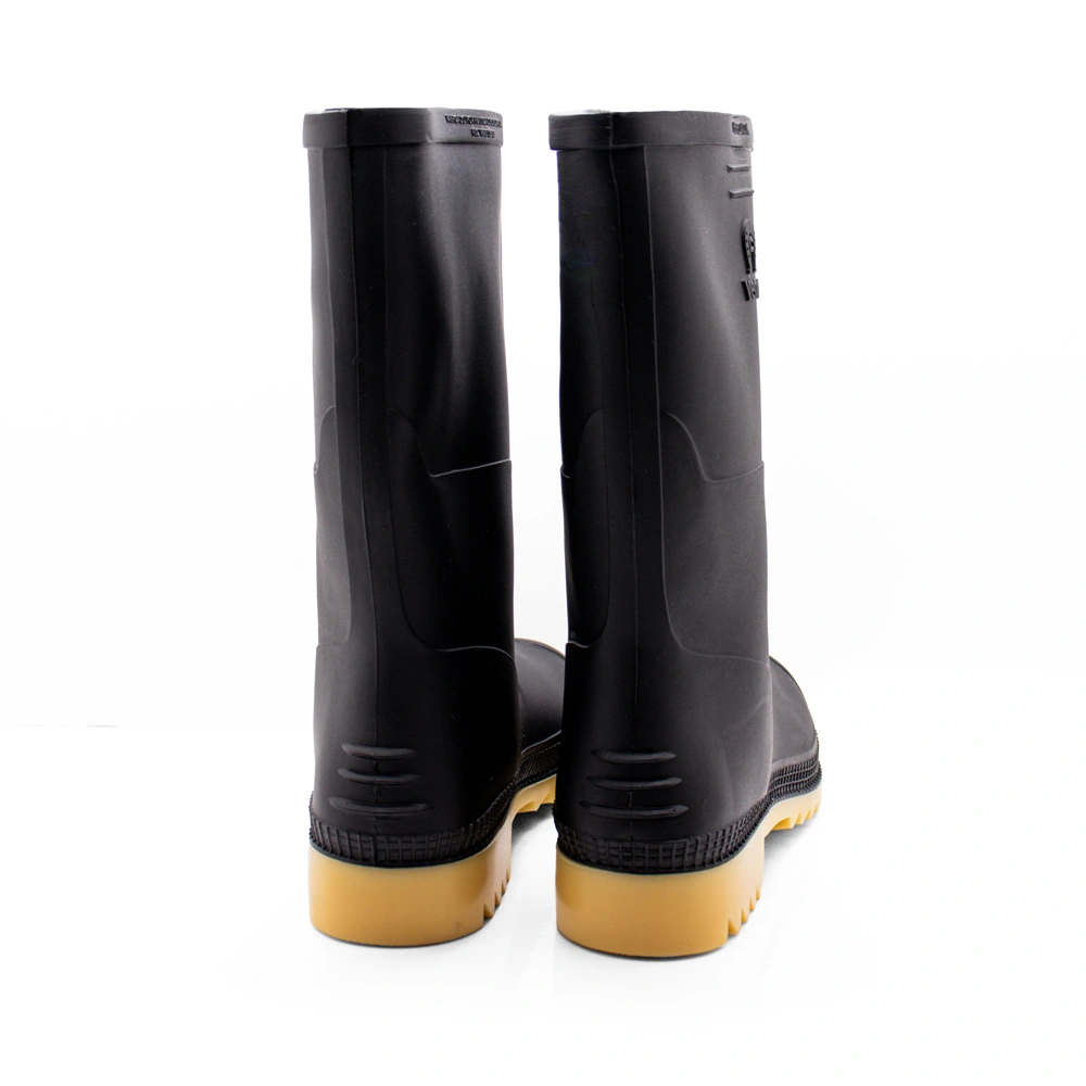 bota_caminera_venus_posterior bota_caminera_venus_posterior