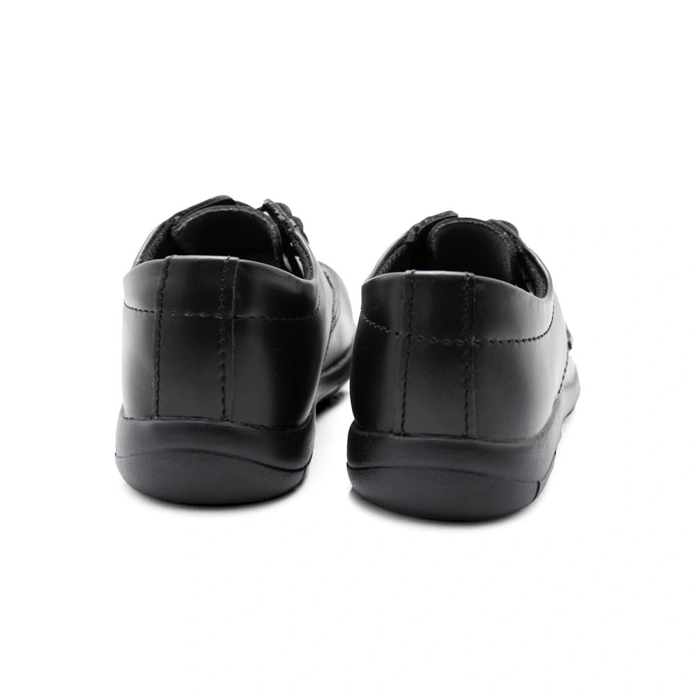 venus-Franklin-posterior